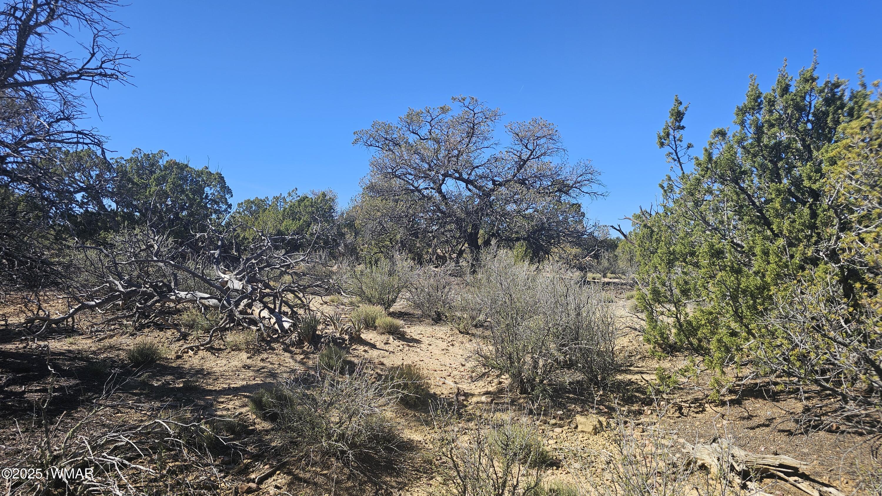 4 County Road Concho, AZ 85924 - Photo 19 of 28
