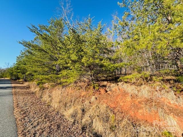 0 Cross Creek Drive, Unit 68 Rutherfordton, NC 28139 - Photo 2 of 25