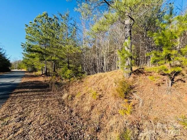 $32,000 | 0 Cross Creek Drive, Unit 68, Rutherfordton, NC 28139