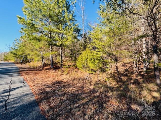 0 Cross Creek Drive, Unit 68 Rutherfordton, NC 28139 - Photo 5 of 25