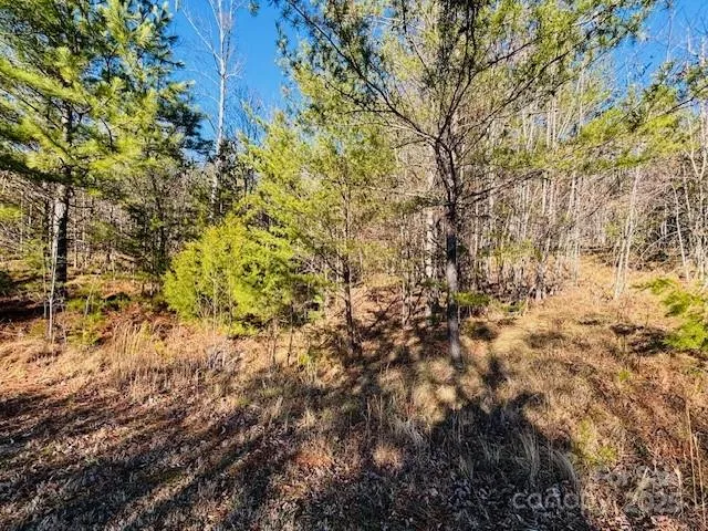 $32,000 | 0 Cross Creek Drive, Unit 68, Rutherfordton, NC 28139