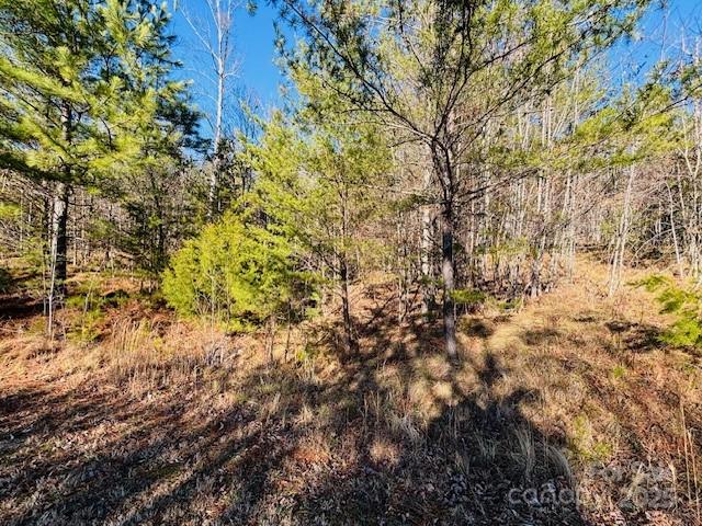 0 Cross Creek Drive, Unit 68 Rutherfordton, NC 28139 - Photo 6 of 25