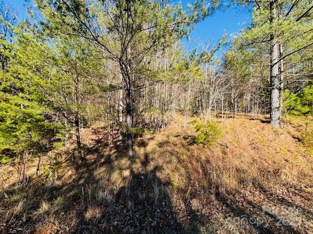 0 Cross Creek Drive, Unit 68 Rutherfordton, NC 28139 - Photo 7 of 25