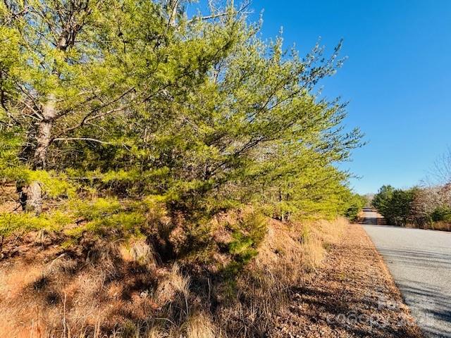 0 Cross Creek Drive, Unit 68 Rutherfordton, NC 28139 - Photo 8 of 25
