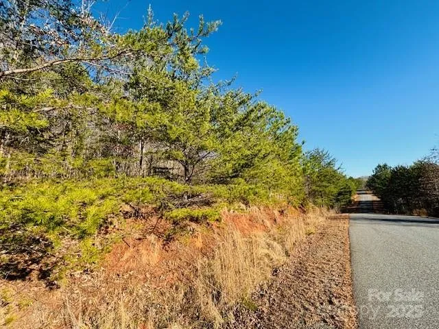 $32,000 | 0 Cross Creek Drive, Unit 68, Rutherfordton, NC 28139