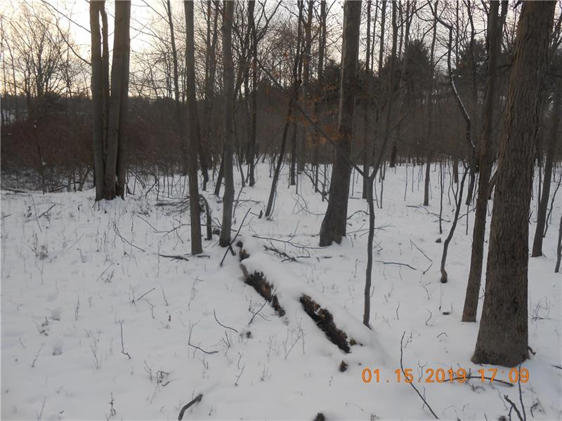 0 Pine Vale Road Marion Center, PA 15759 - Photo 8 of 10 Gallery Image 8