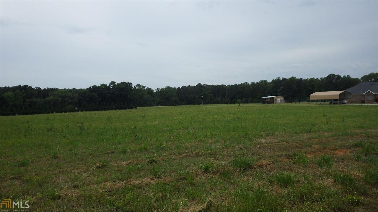 187 High Falls Road Jackson, GA 30233 - Photo 1 of 1 a view of a field with grass and trees