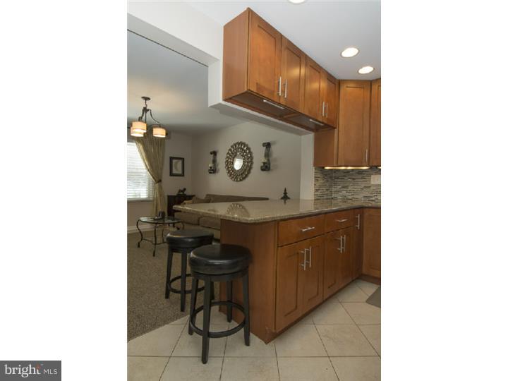 2005 County Line Road Villanova, PA 19085 - Photo 11 of 25