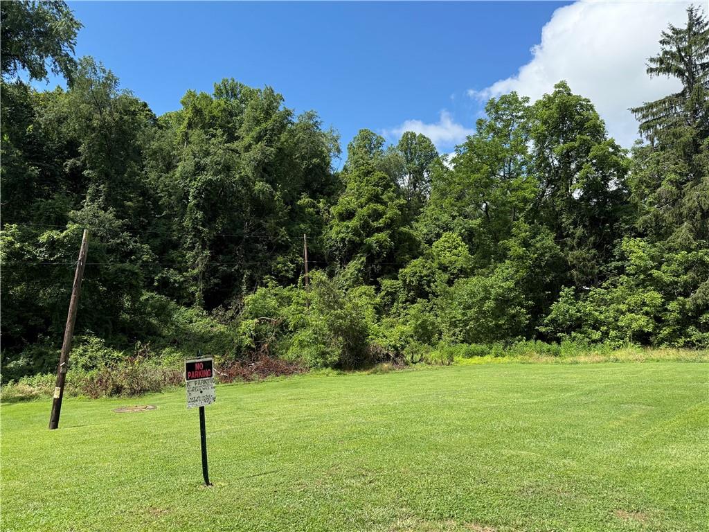 162 Tony Row Road Star Junction, PA 15482 - Photo 4 of 7