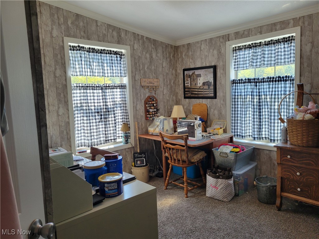 85645 Merryman Road Cadiz, OH 43907 - Photo 13 of 38 Office area featuring carpet floors, crown molding, and a healthy amount of sunlight
