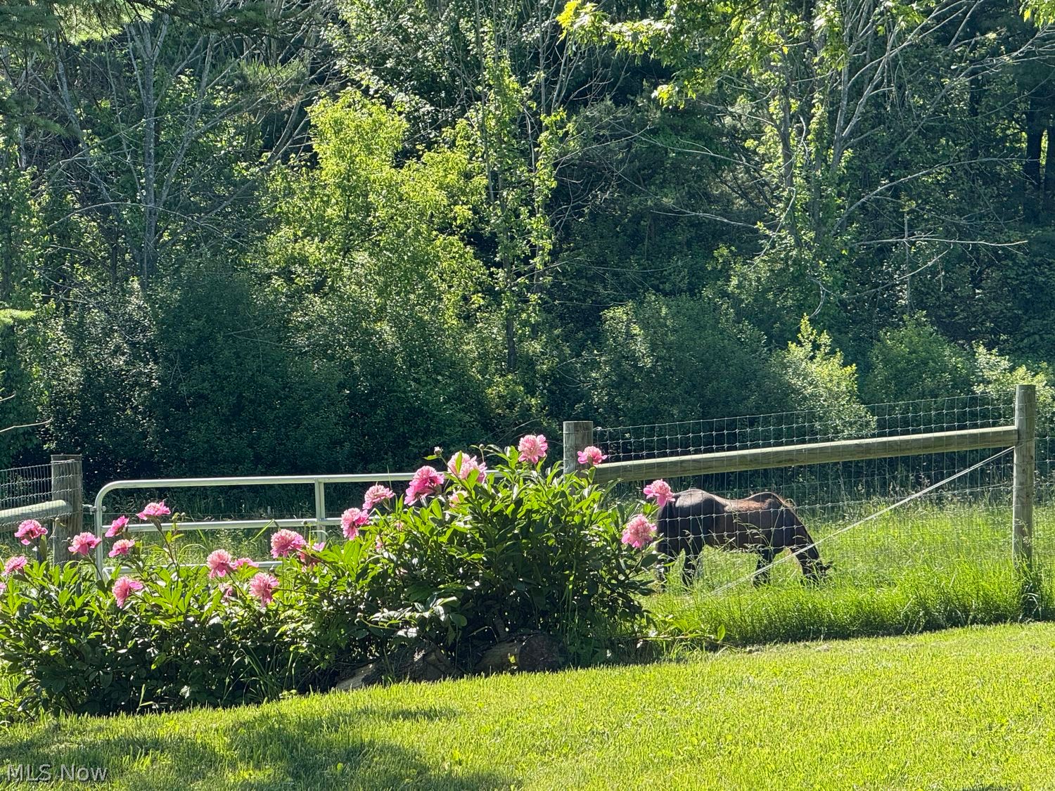 7950 Coon Club Road Medina, OH 44256 - Photo 28 of 29