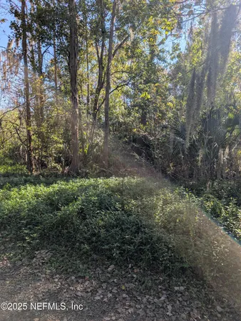 a big yard with lots of green space and deers