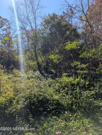 a view of a yard with plants and a bench