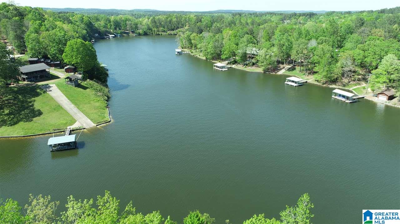 0 Brookwater Way, Unit 6 Wedowee, AL 36278 - Photo 4 of 7