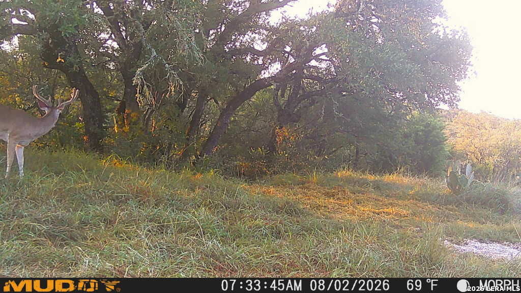 76 Alamo Ranch Rocksprings, TX 78880 - Photo 24 of 37 Gallery Image 24