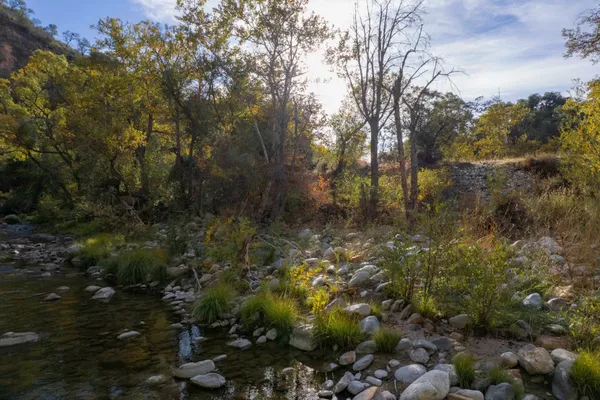 a view of a houses with a lush green forest