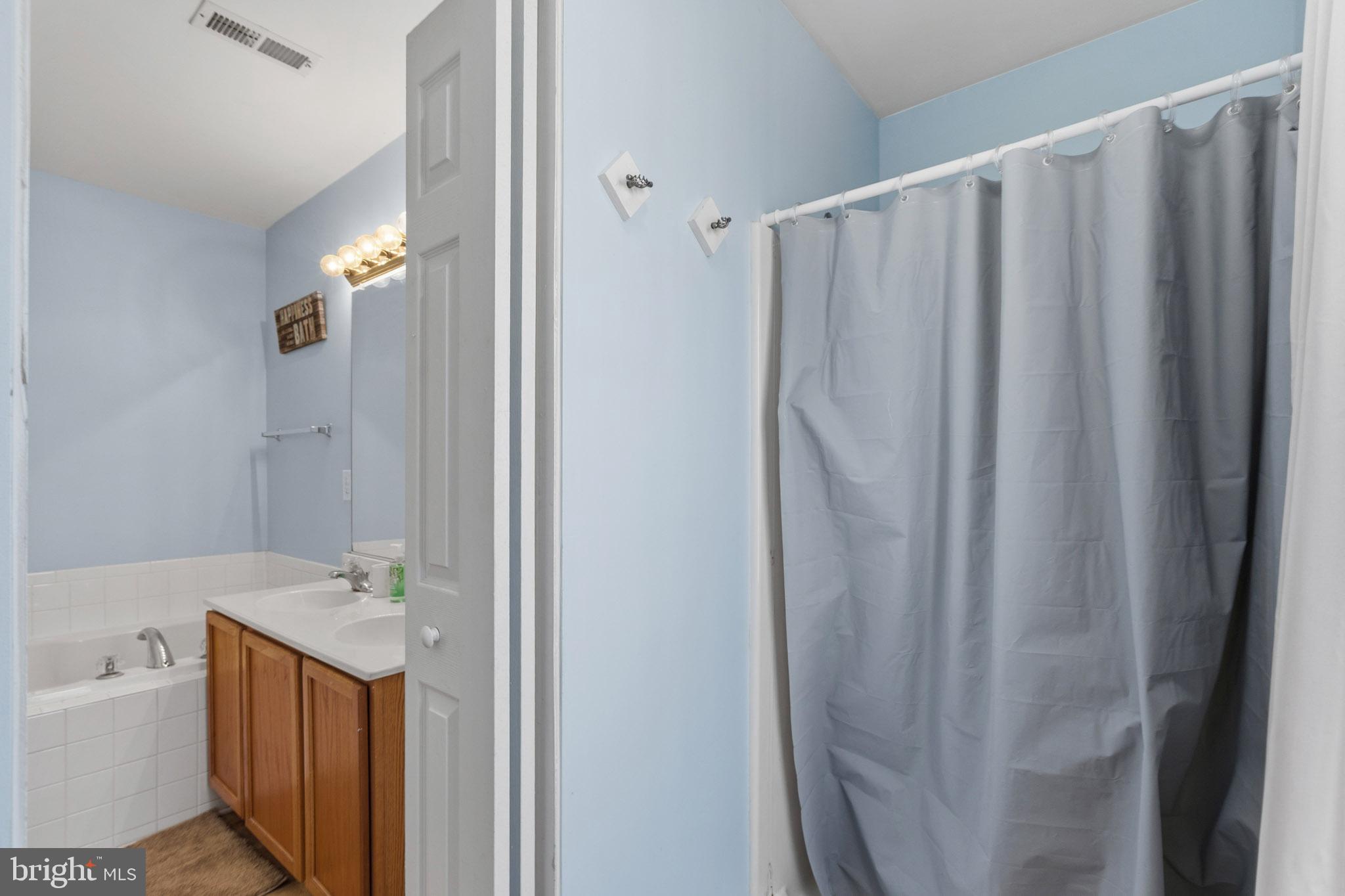 9279 Inaugural Drive King George, VA 22485 - Photo 17 of 30 a bathroom with shower a sink and a mirror