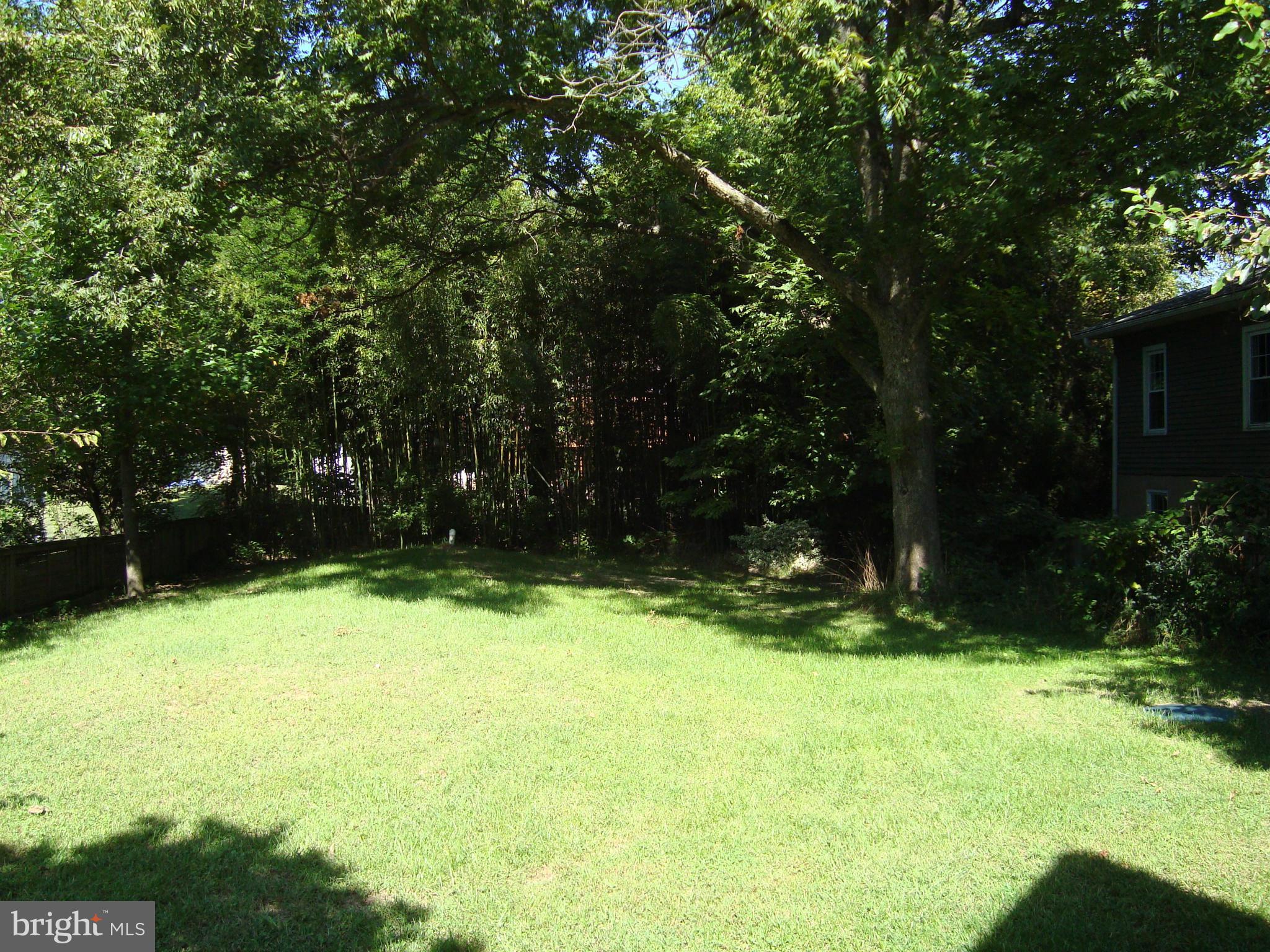 7626 Paradise Beach Road Pasadena, MD 21122 - Photo 4 of 16 Back Yard