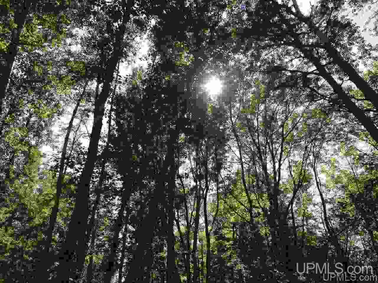 Tbd Freda Road Atlantic Mine, MI 49905 - Photo 15 of 17