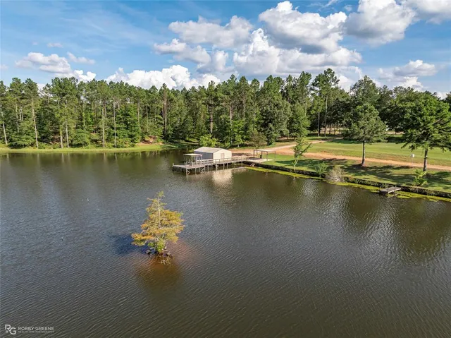 a view of a lake with a building in the background