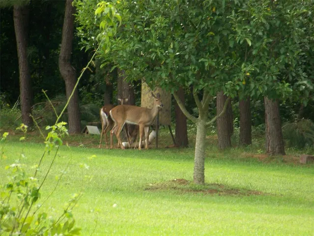 a view of water heater room