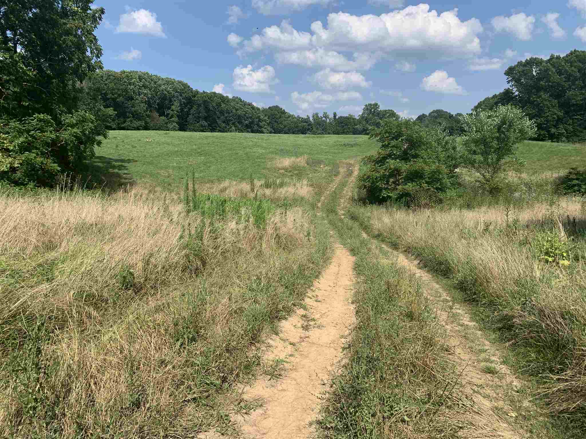 Tbd Tbd Pleasant Run Road Heltonville, IN 47436 - Photo 3 of 12 Gallery Image 3