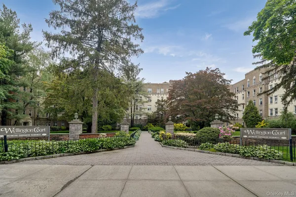 a view of a garden with a pathway