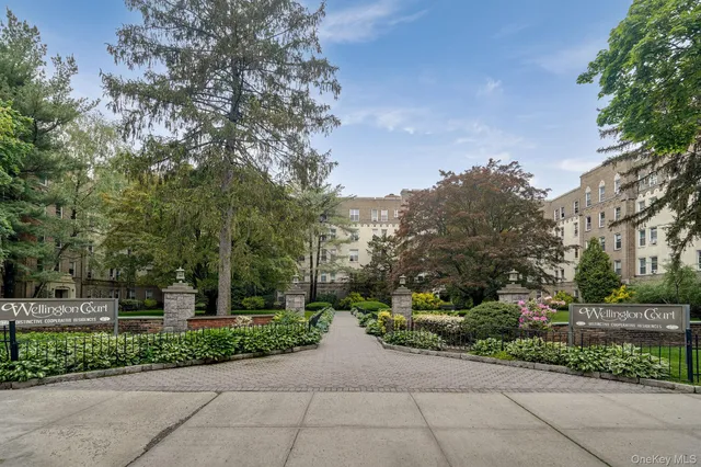a view of a garden with a pathway