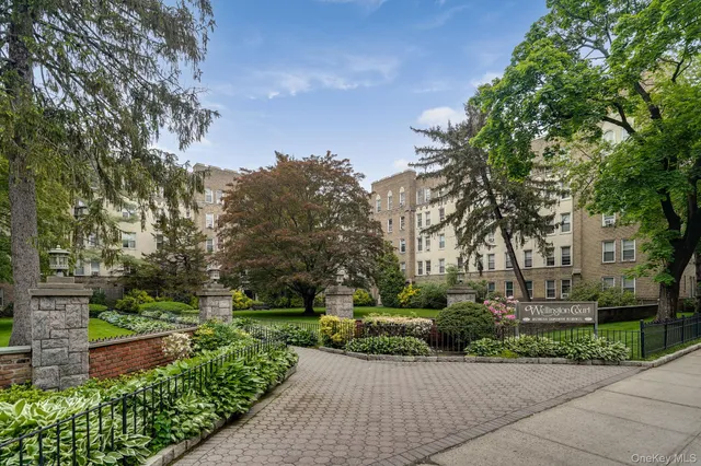 a view of a garden with plants and trees