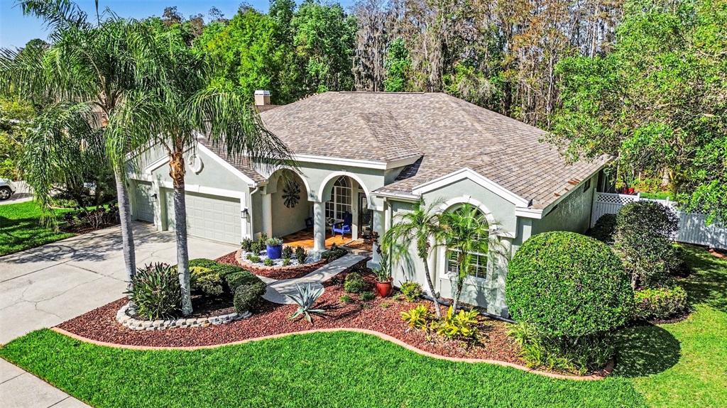 4491 Fallbrook Boulevard Palm Harbor, FL 34685 - Photo 36 of 46