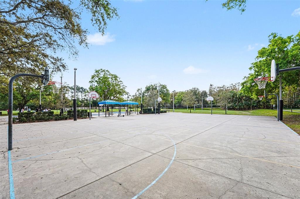 4491 Fallbrook Boulevard Palm Harbor, FL 34685 - Photo 42 of 46