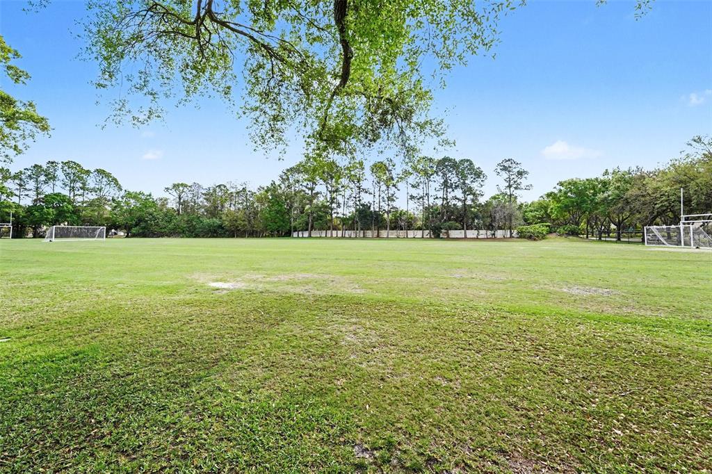 4491 Fallbrook Boulevard Palm Harbor, FL 34685 - Photo 43 of 46 a view of a green field with an trees