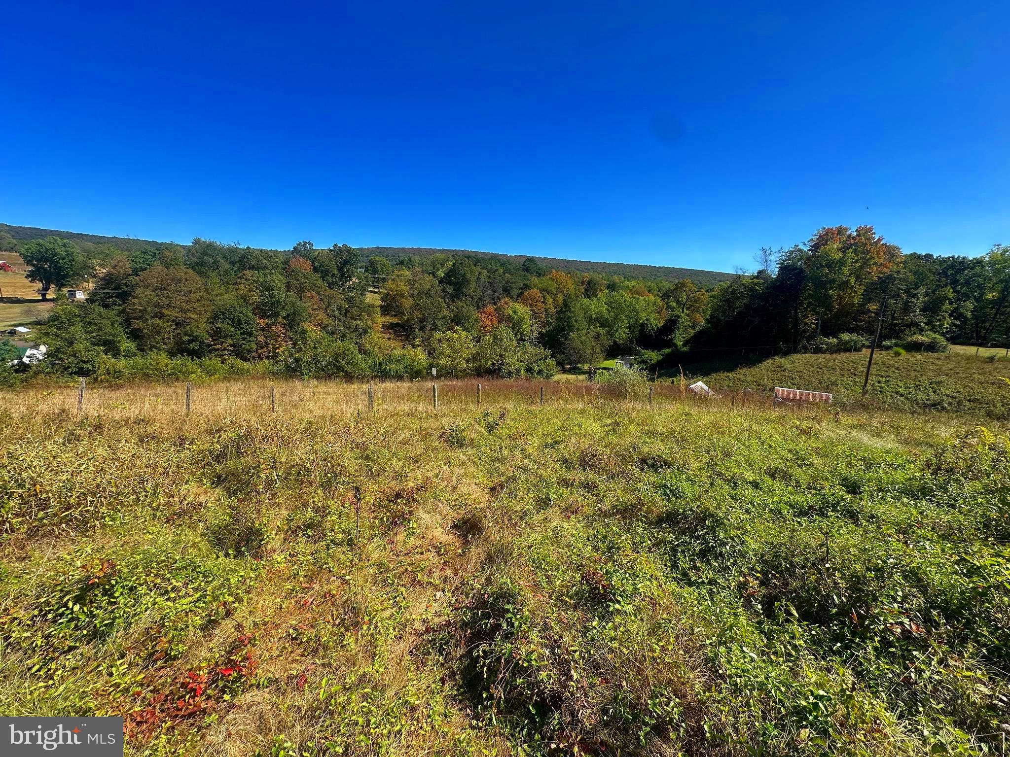 3500 Paw Paw Road Paw Paw, WV 25434 - Photo 7 of 48 a view of a field with an ocean