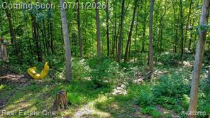 310 South Van Road Holly, MI 48442 - Photo 50 of 67