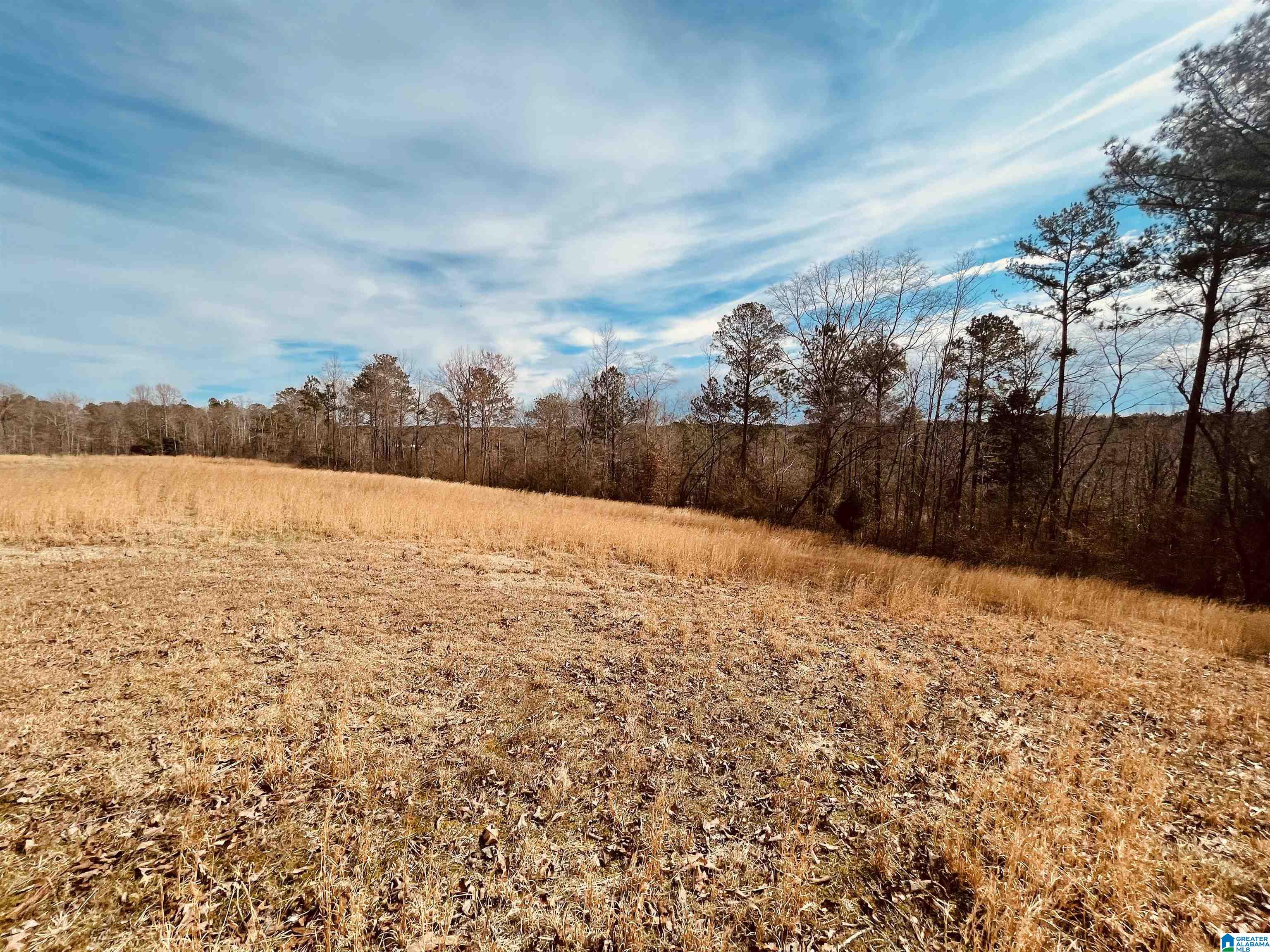3285 Popes Chapel Road Ragland, AL 35131 - Photo 44 of 60 Gallery Image 44