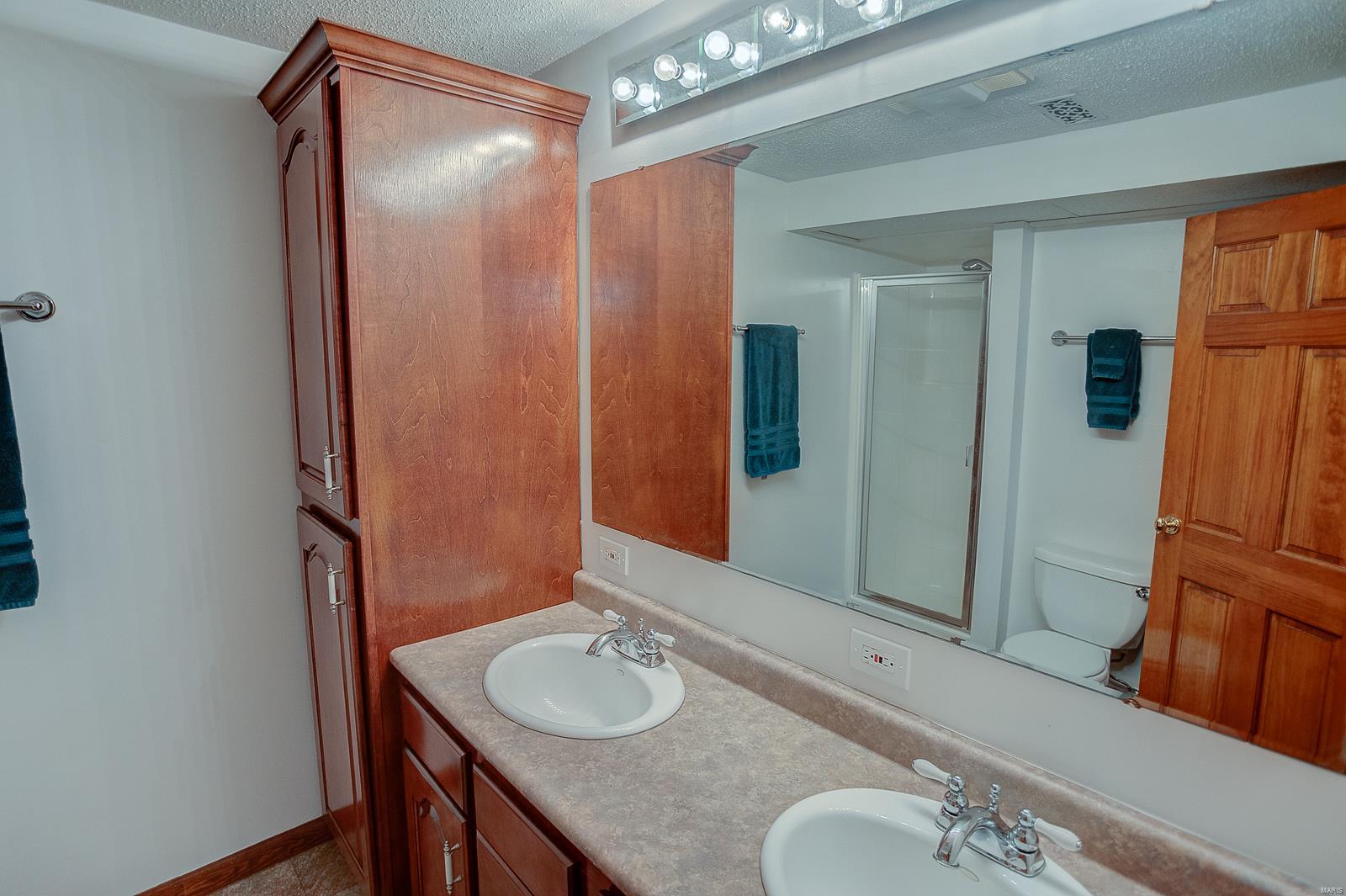 310 Old US Rte 66 Hamel, IL 62046 - Photo 50 of 61 Gallery Image 50