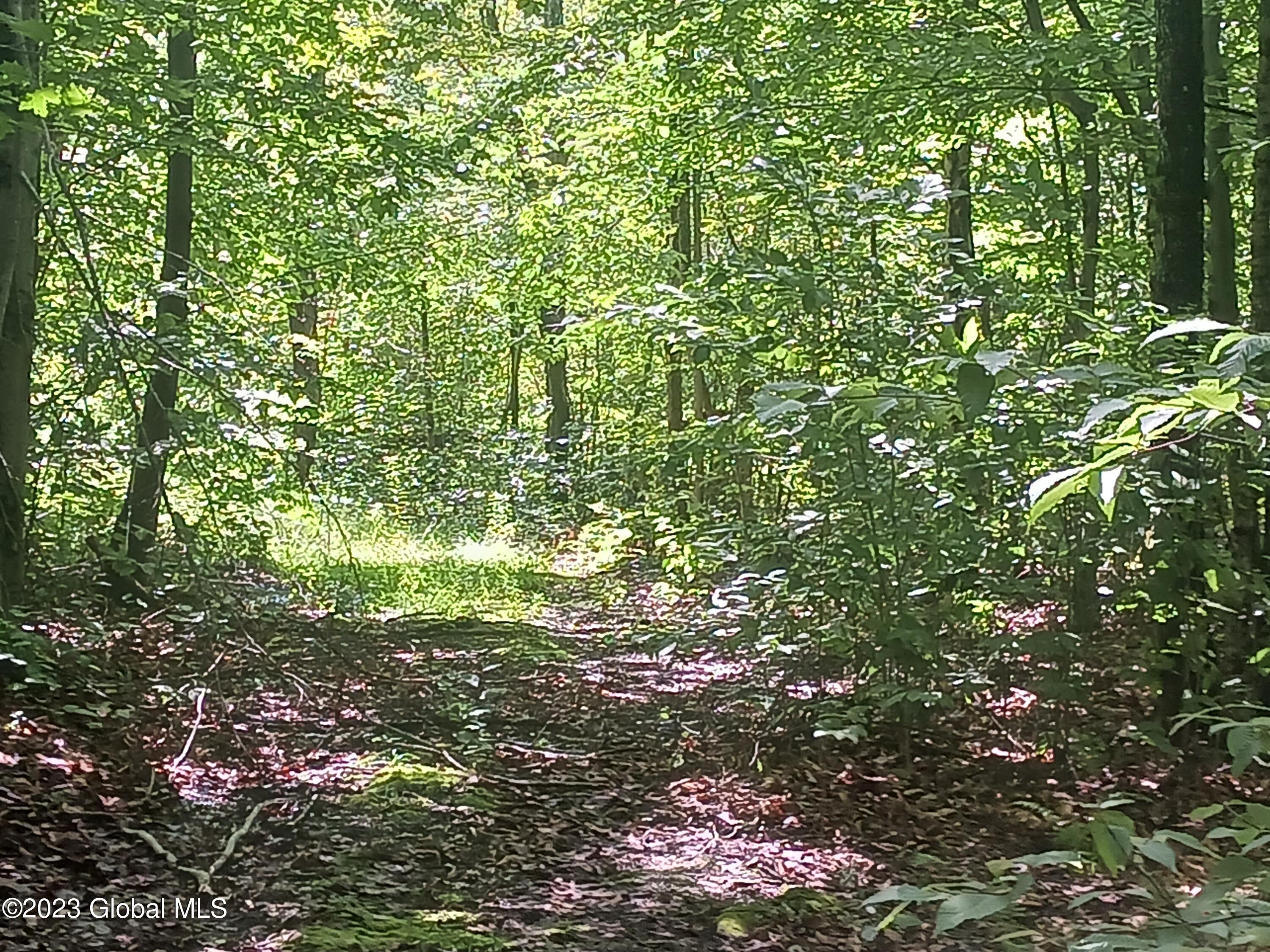 71 Brenenstuhl Road Hoosick Falls, NY 12090 - Photo 1 of 3 Lot Pic