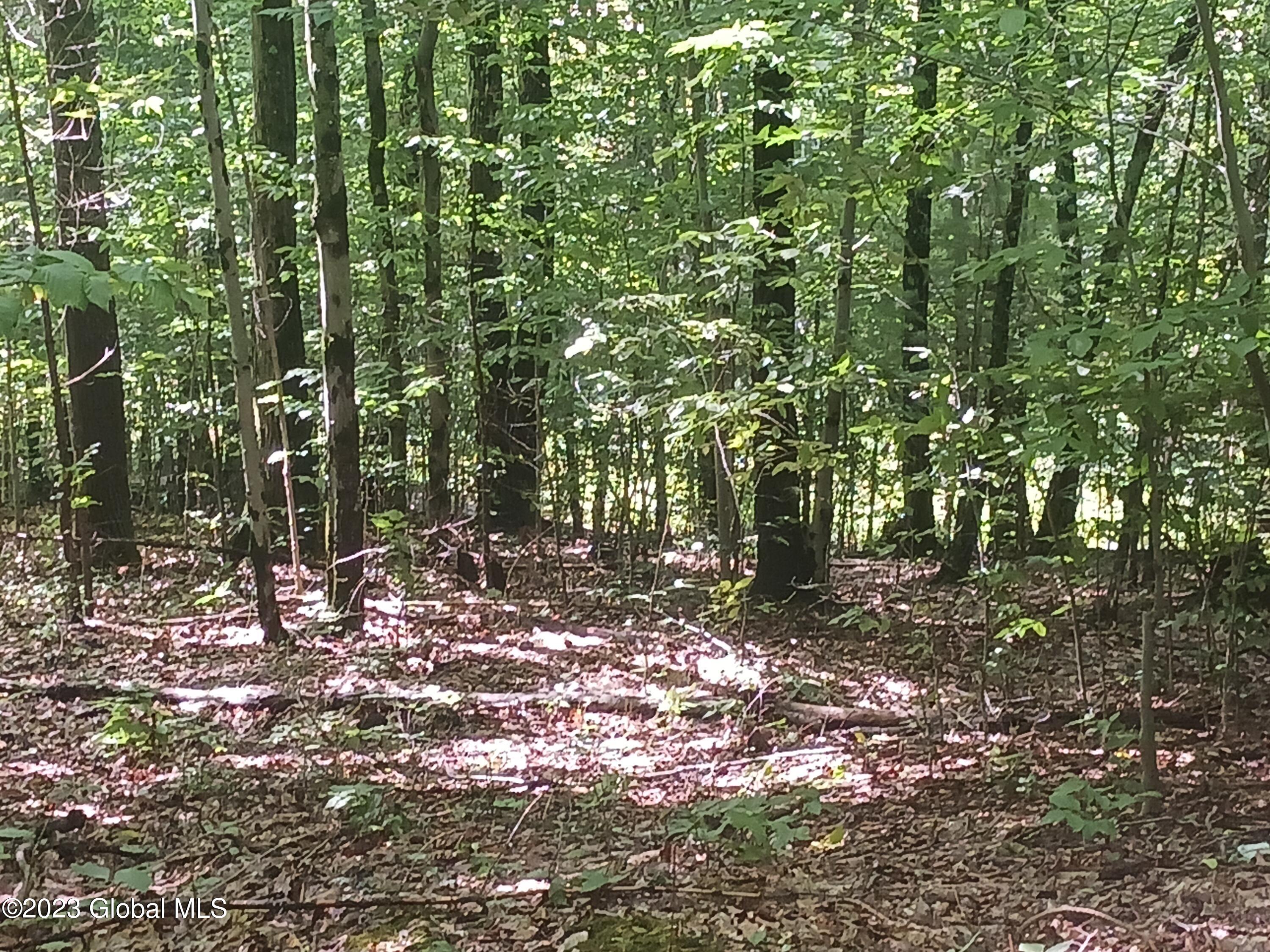 71 Brenenstuhl Road Hoosick Falls, NY 12090 - Photo 3 of 3 pic3