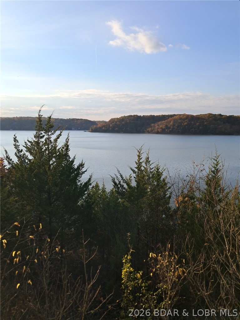 3955 Woodson Point Road Stover, MO 65078 - Photo 8 of 14