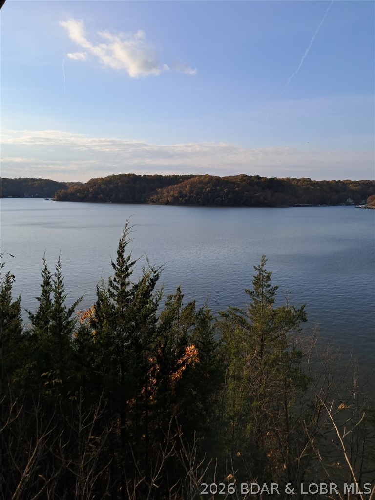 3955 Woodson Point Road Stover, MO 65078 - Photo 9 of 14