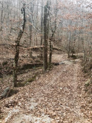 Creek Road Sharps Chapel, TN 37866 - Photo 1 of 8 spring 1