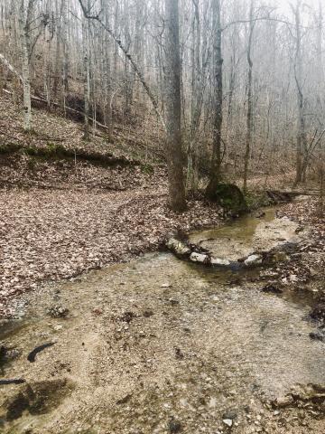 Creek Road Sharps Chapel, TN 37866 - Photo 5 of 8 spring 5