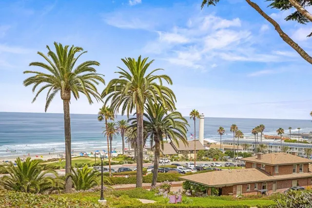 a view of a palm tree with ocean view