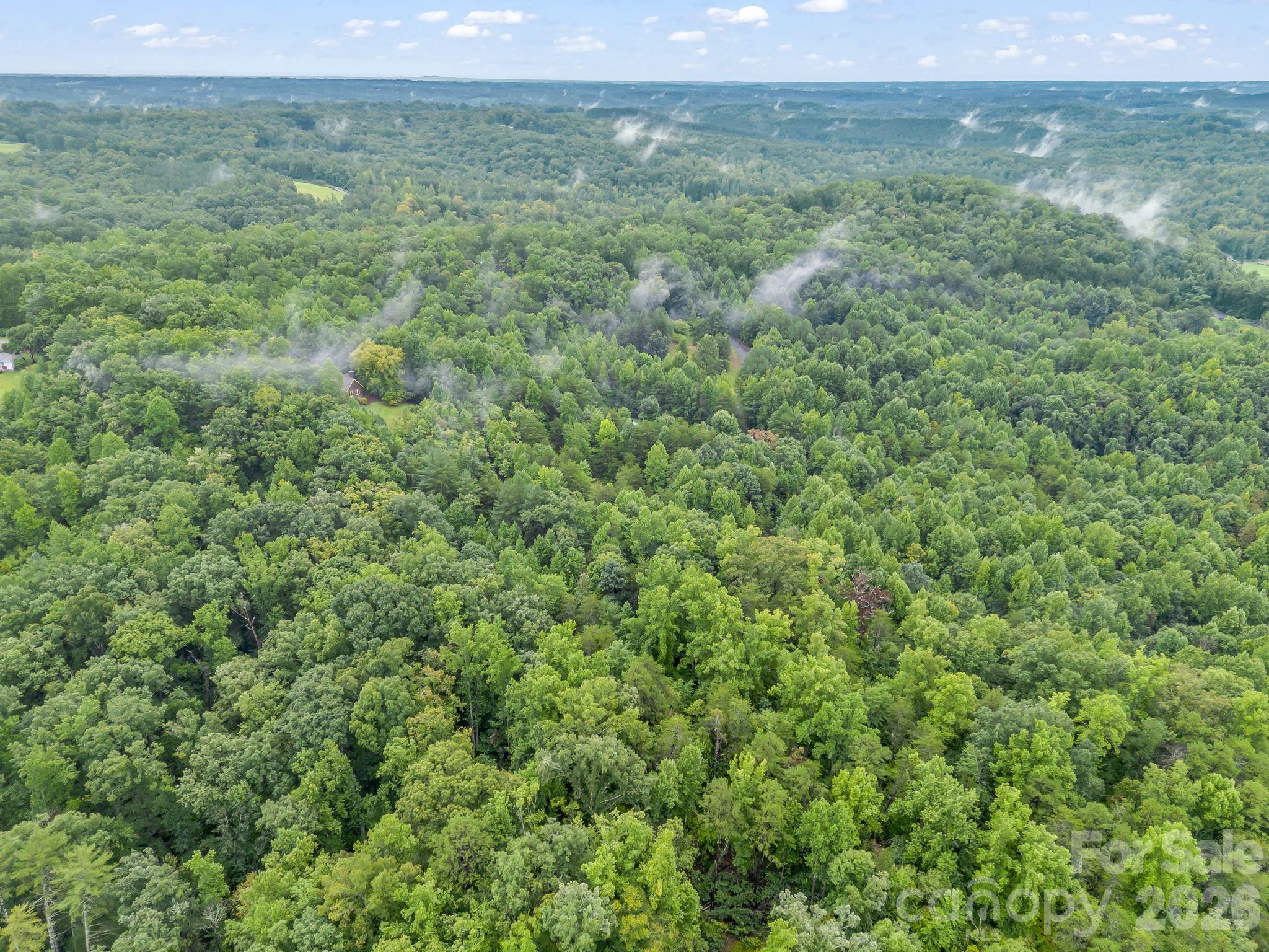 0 Observation Ridge Rutherfordton, NC 28139 - Photo 13 of 25 Gallery Image 13