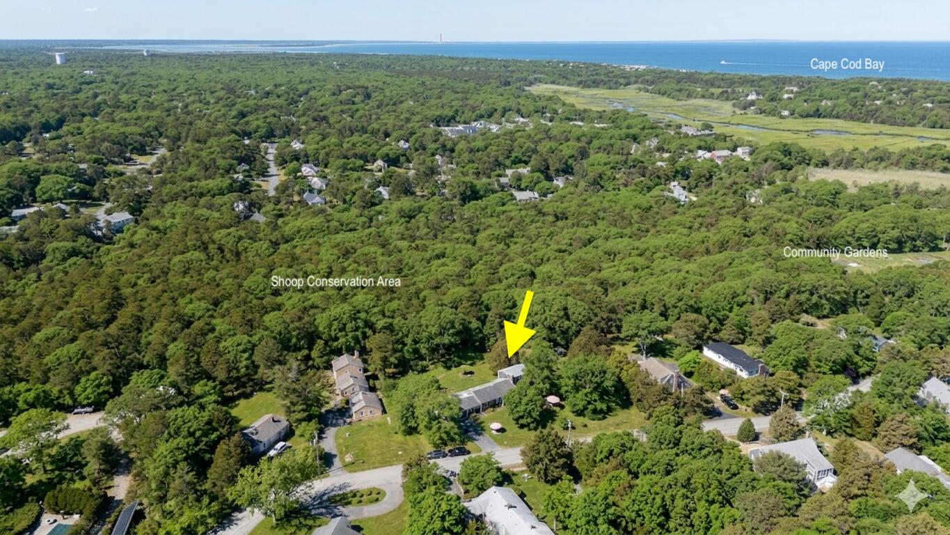 49 Monument View Road East Dennis, MA 02660 - Photo 7 of 52 a view of a green field with lots of bushes