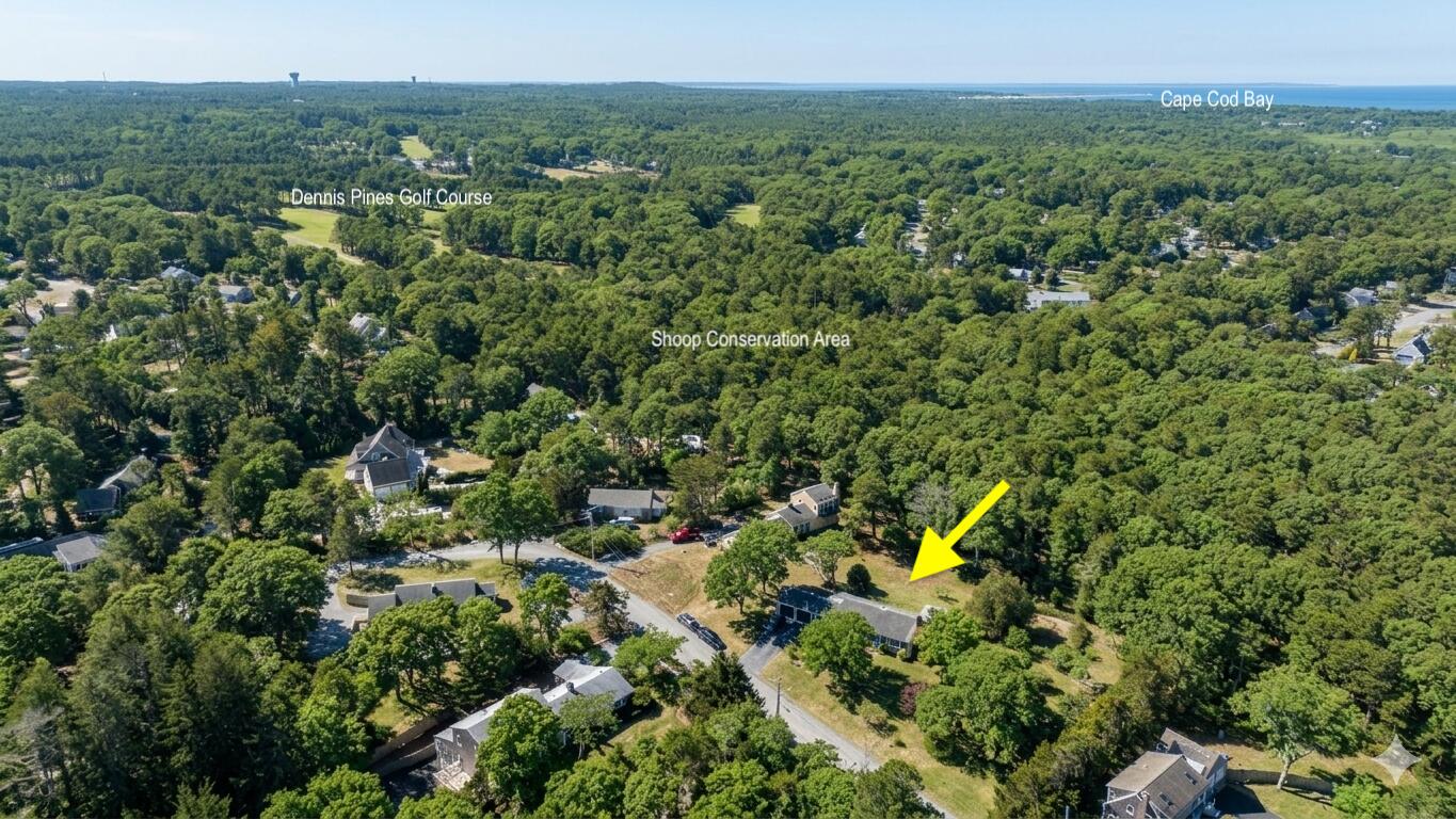49 Monument View Road East Dennis, MA 02660 - Photo 9 of 52 a view of a forest with a houses