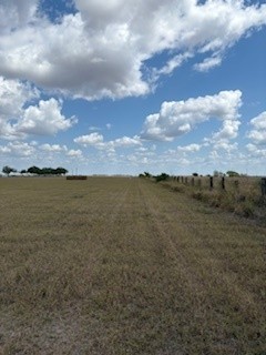 16903 Fm 630 Odem, TX 78370 - Photo 15 of 24