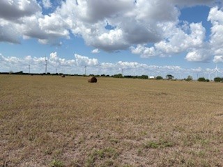 16903 Fm 630 Odem, TX 78370 - Photo 20 of 24 a view of an ocean and beach