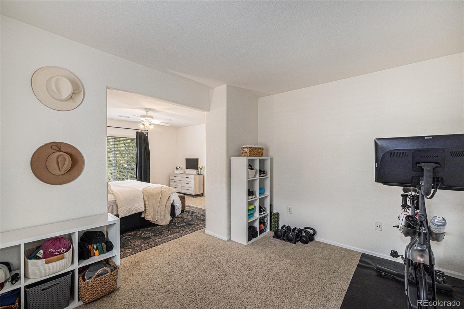 192 Whitehaven Circle Highlands Ranch, CO 80129 - Photo 18 of 30 Gallery Image 18