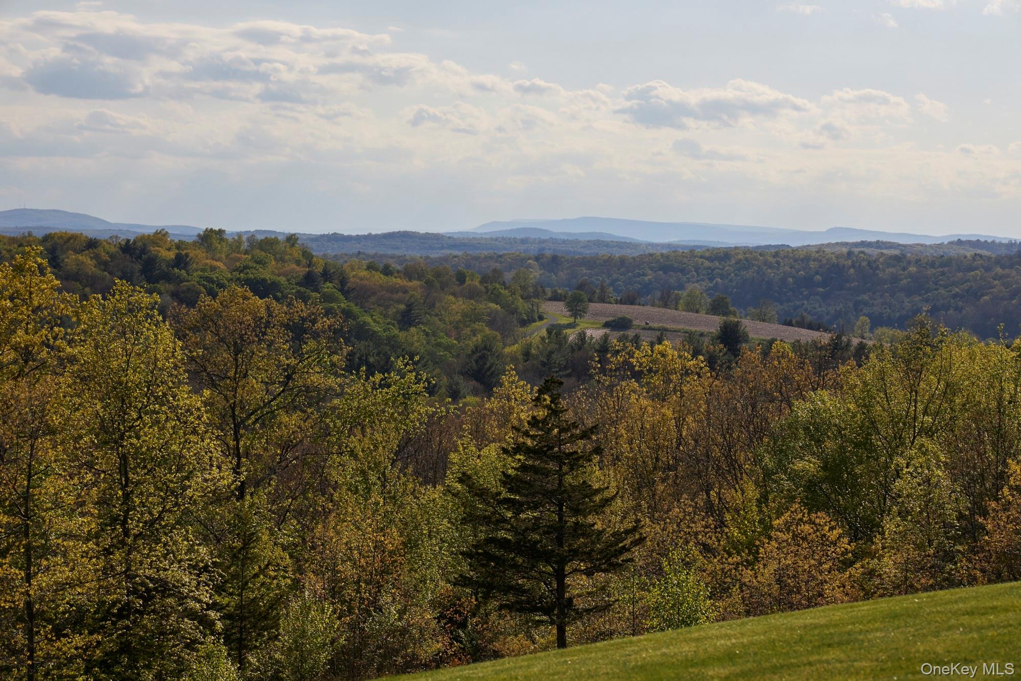 790 Stanford Road Millbrook, NY 12545 - Photo 3 of 50 a view of mountain with lake view